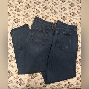 Lane Bryant Straight Jeans